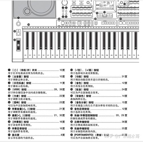 节拍器怎么设置