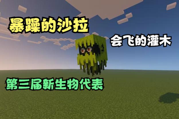 我的世界小怒