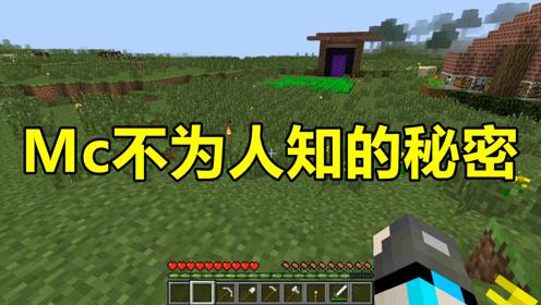 我的世界不为人知的秘密