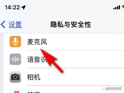 麦克风权限怎么设置