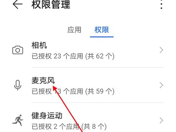 麦克风权限怎么设置
