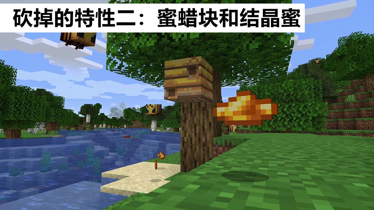 我的世界不为人知的秘密