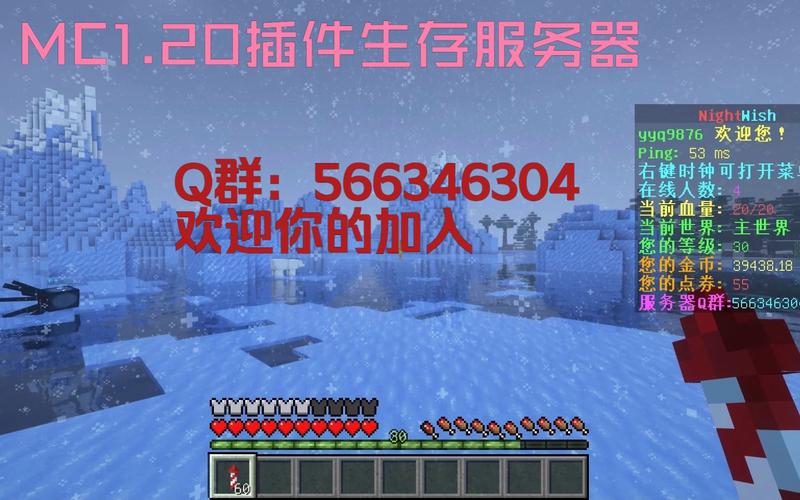 我的世界点卷插件
