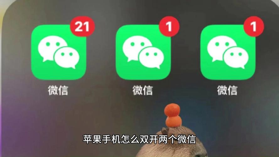 怎么设置双微信
