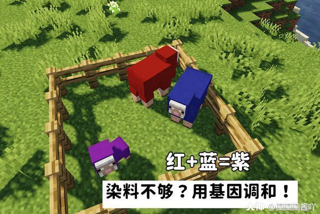 我的世界怎么给羊染色