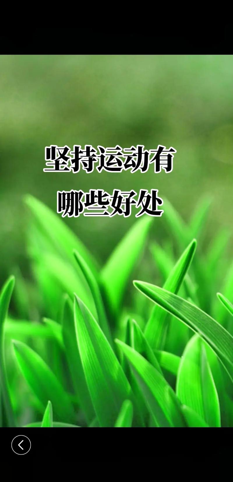 抖音运动说什么好