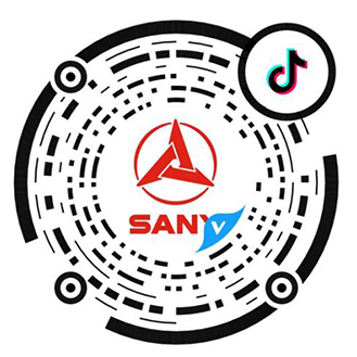 抖音三一一什么意思