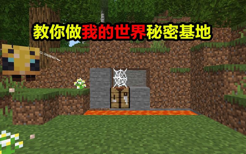 秘密我的世界