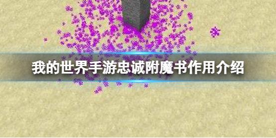 我的世界忠诚附魔
