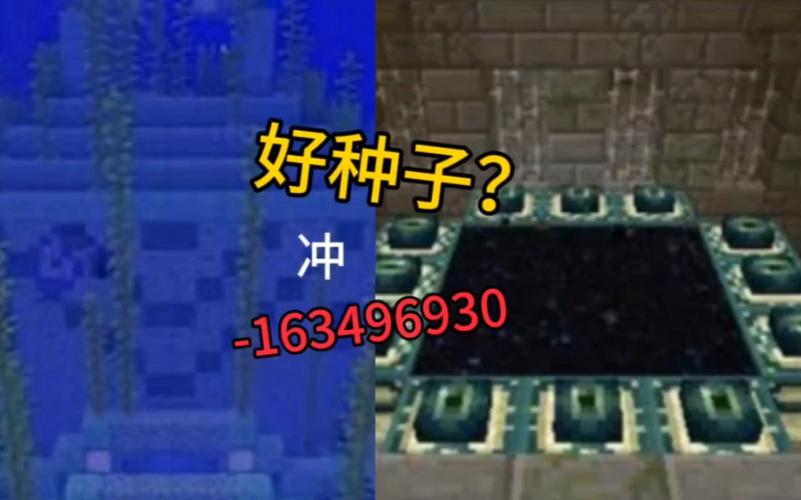 我的世界虚空种子
