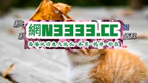 淘金城镇2024