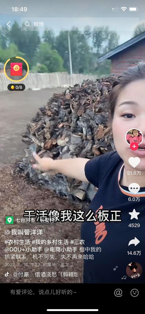 抖音洋洋是什么来头