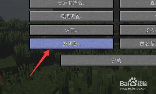 我的世界怎么换材质包