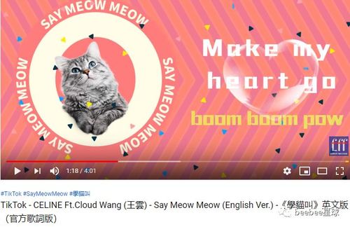 抖音上swag什么歌