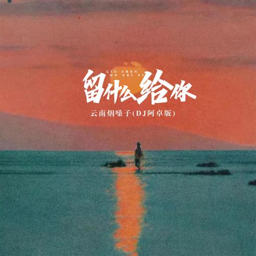 留什么给你dj抖音
