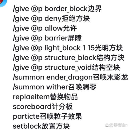 我的世界玩家代号