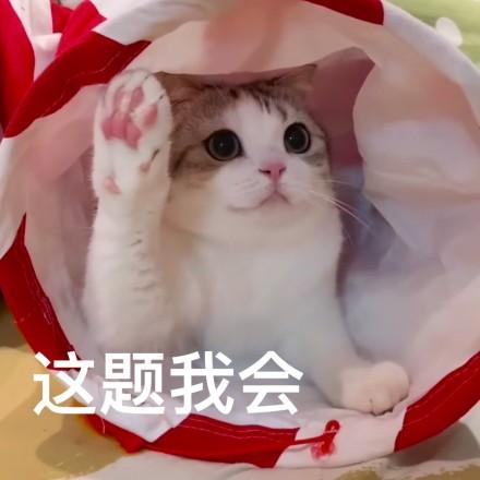 这题我会 这题我会