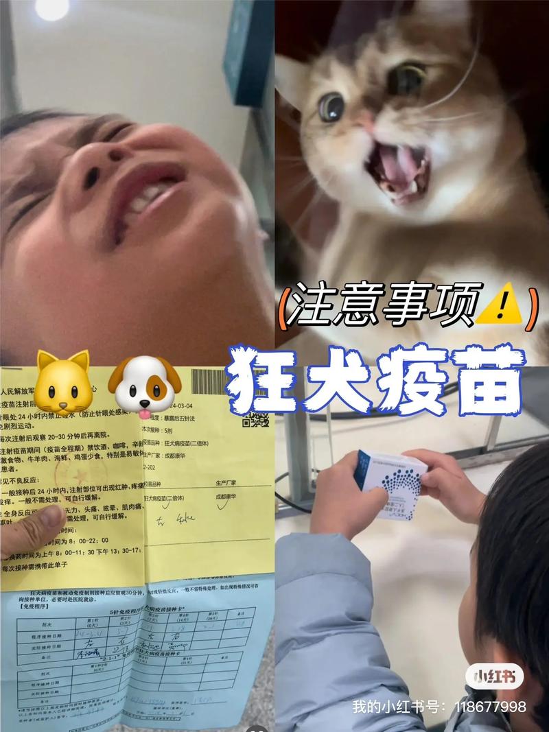 抖音狂犬疫苗什么梗