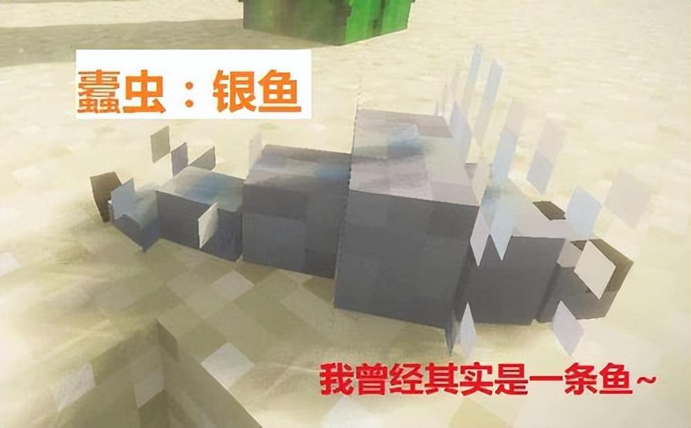 我的世界银鱼