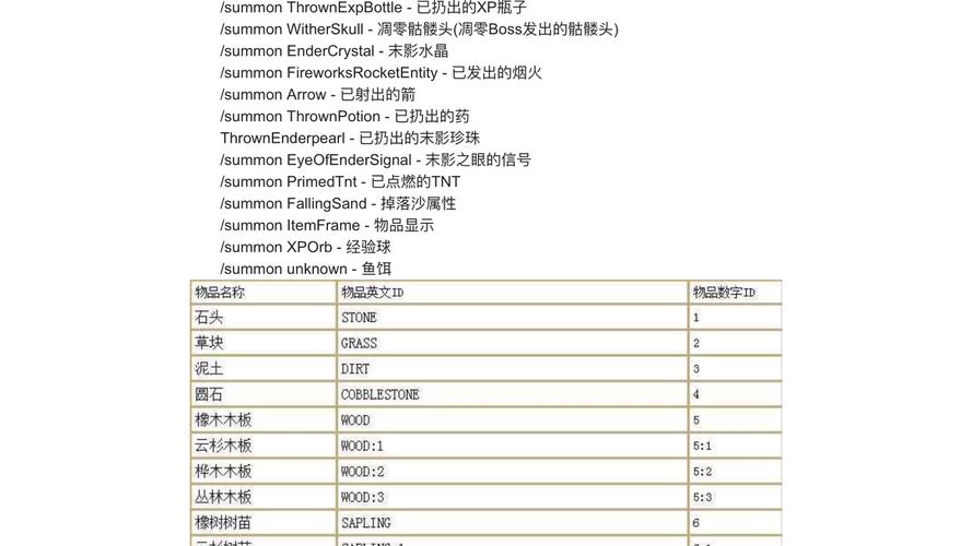 我的世界玩家代号