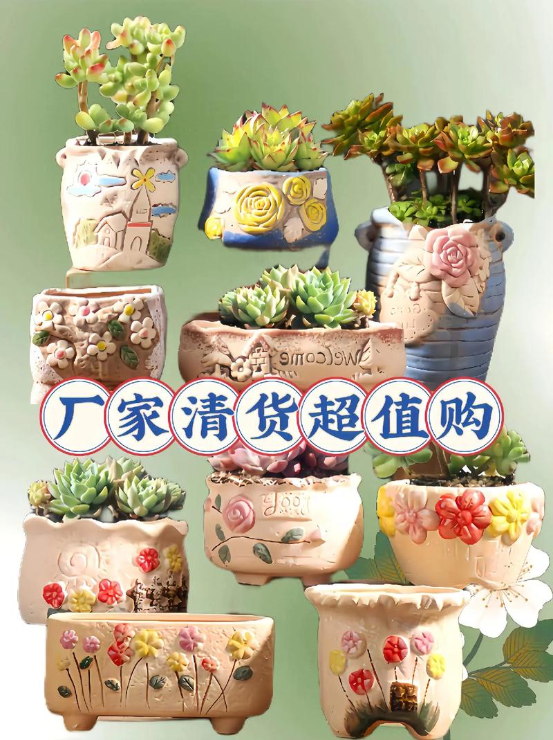 花盆抖音直播卖什么