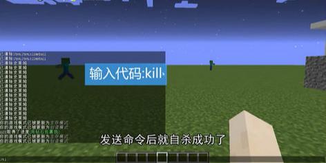 我的世界指令自杀