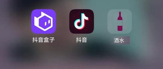抖音以外还有什么软件