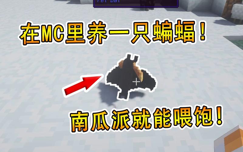 我的世界蝙蝠怎么驯服