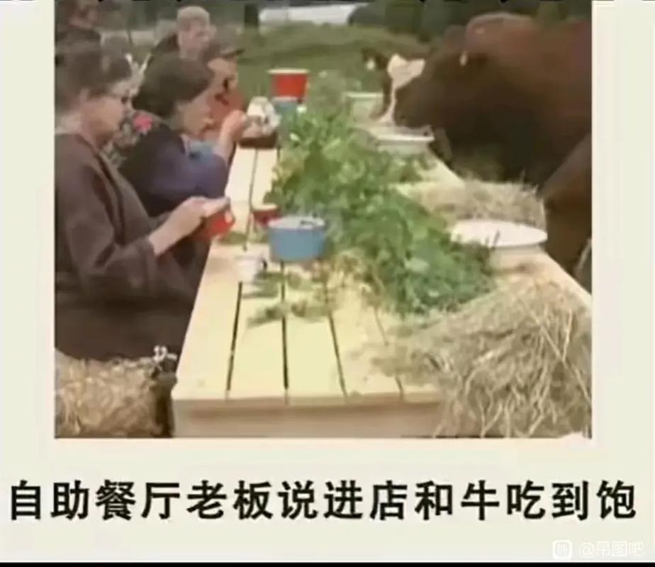 抖音吃牛什么梗