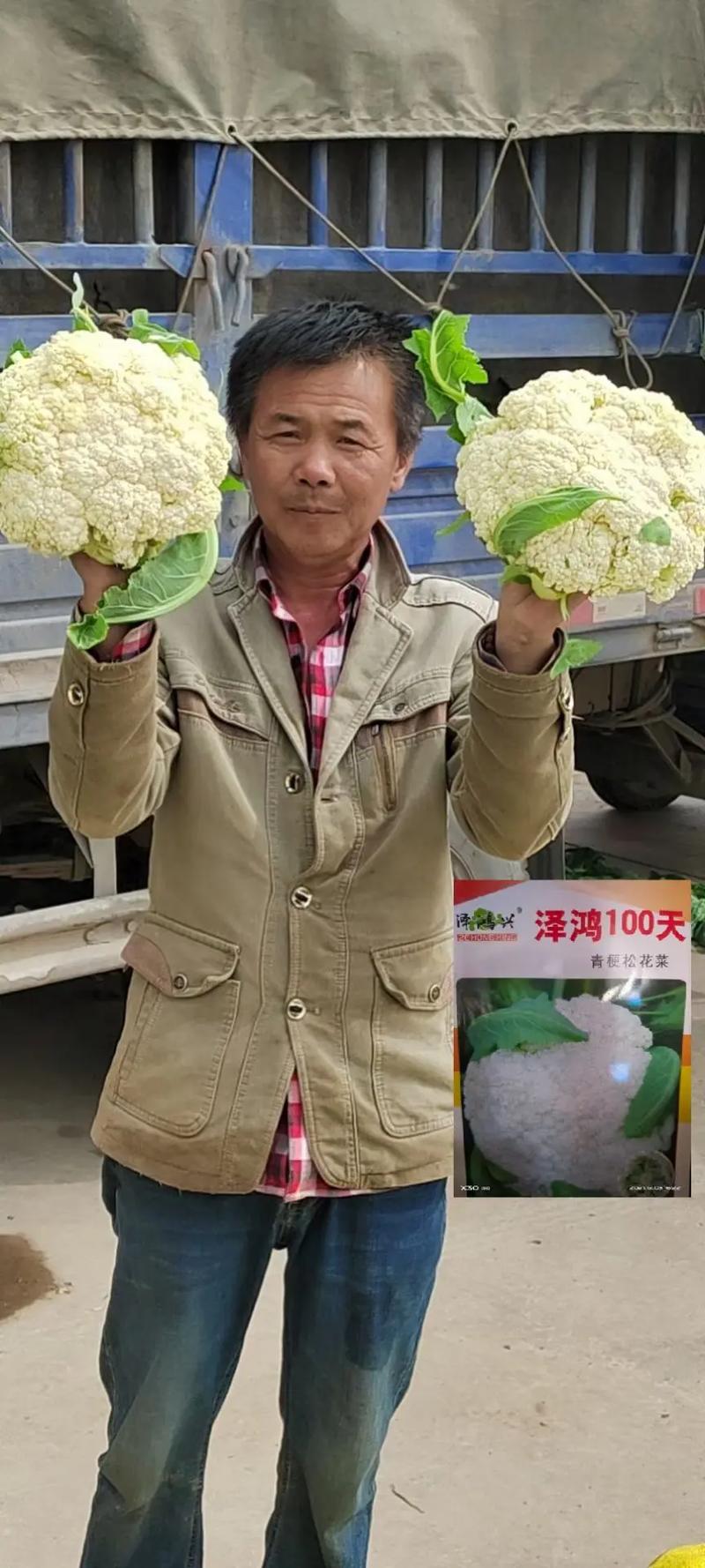抖音刘菜花什么梗