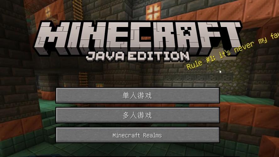 我的世界31