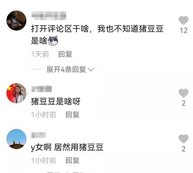 抖音豆豆什么意思
