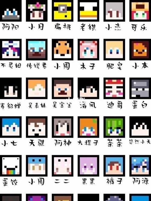 我的世界小奇