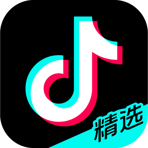 外面抖音网站叫什么