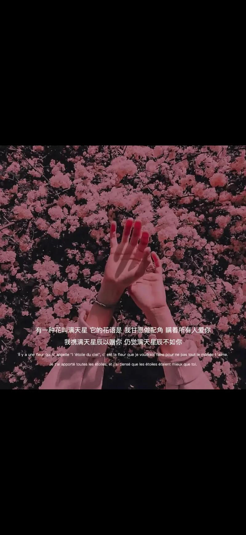 抖音图文配什么文字