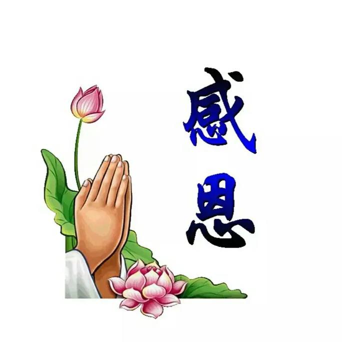 师父抖音配乐叫什么