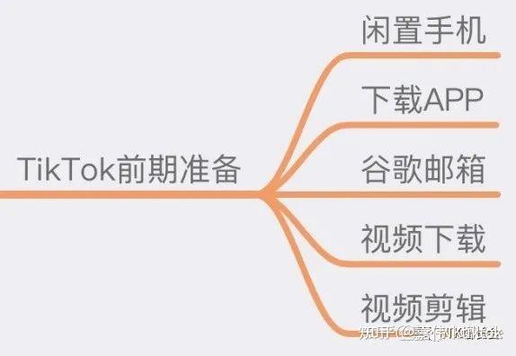 国际抖音是什么现状