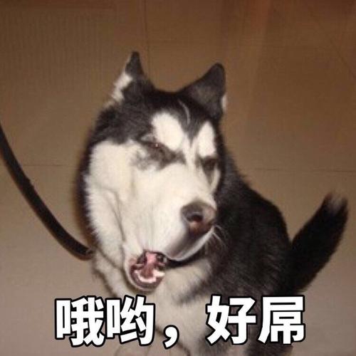 抖音哦哦哦是什么梗