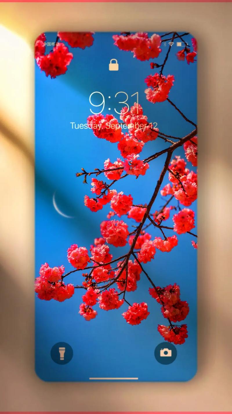 抖音特效桃花是什么