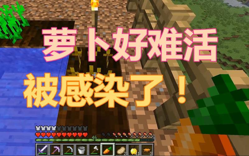 小包子解说我的世界