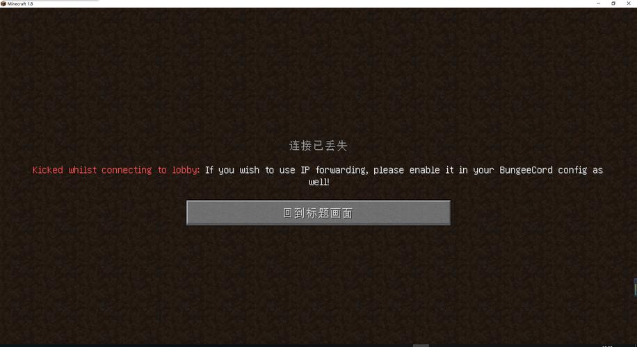 我的世界进不去服务器
