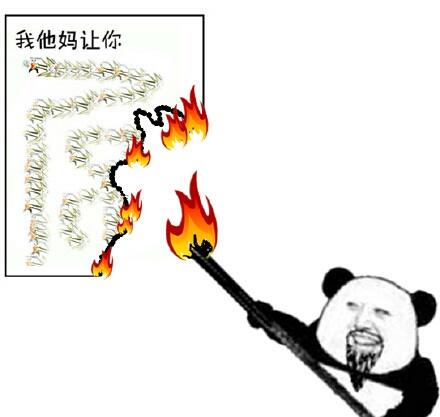 燃烧是什么梗抖音