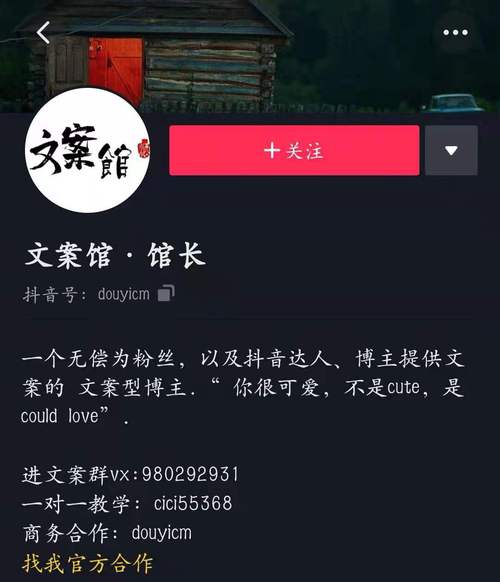 抖音简介是什么字体