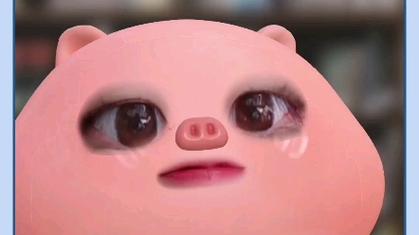 抖音猪猪特效叫什么