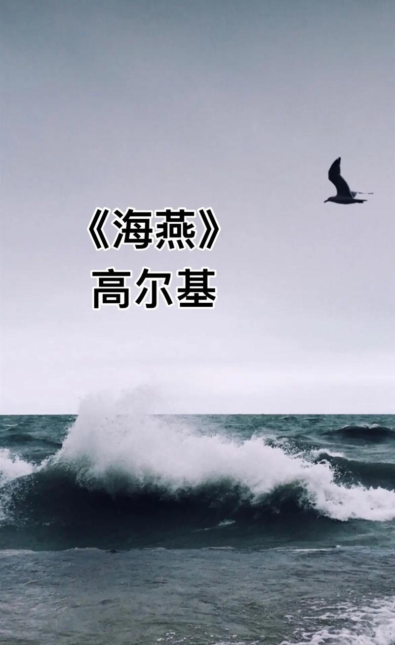海燕唱的歌抖音叫什么