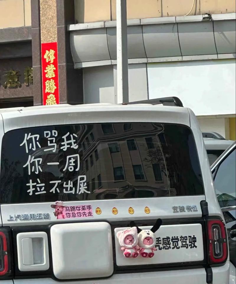 奇葩司机抖音叫什么