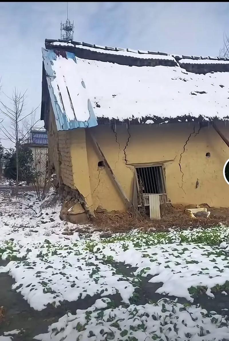 抖音里有什么家