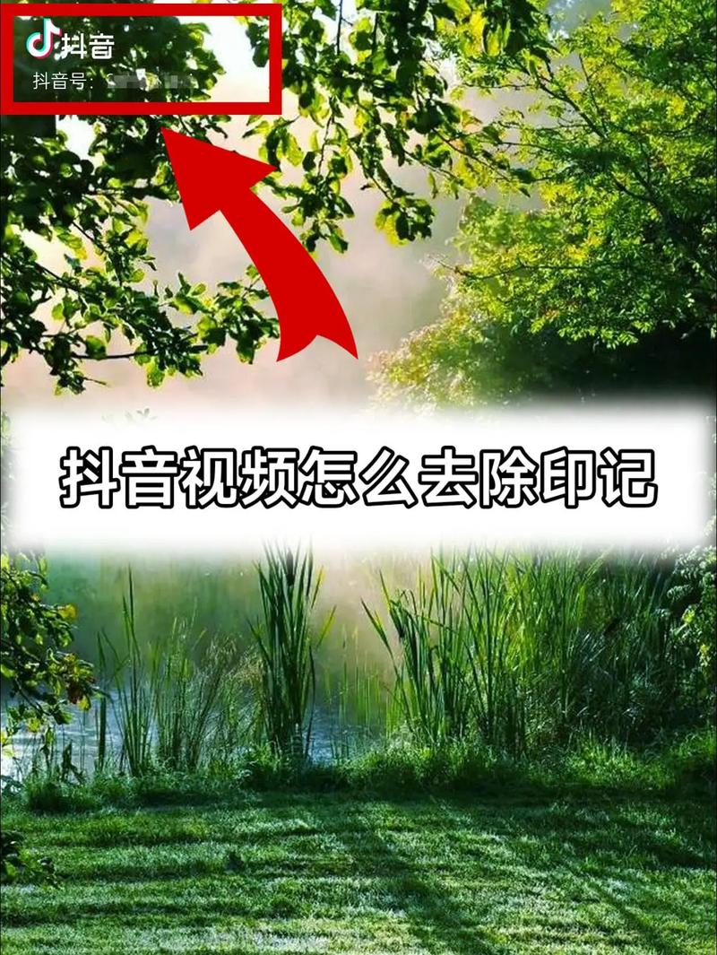 为什么有抖音印记