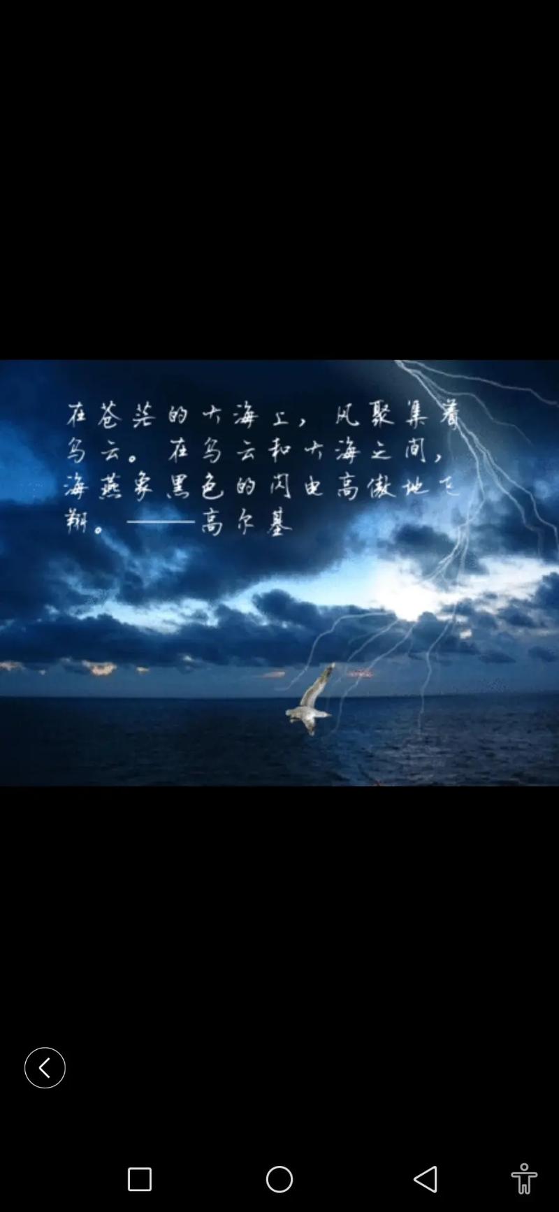 海燕唱的歌抖音叫什么