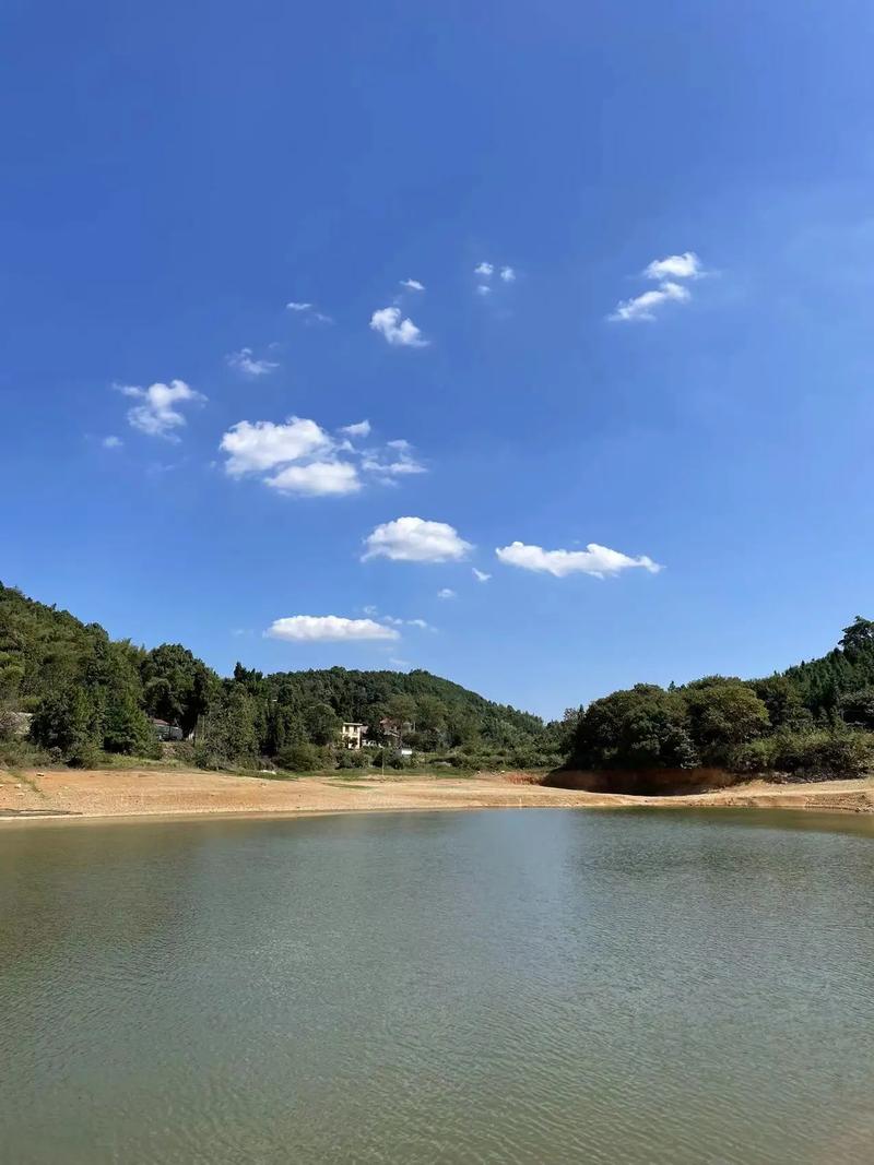 在老家拍什么抖音